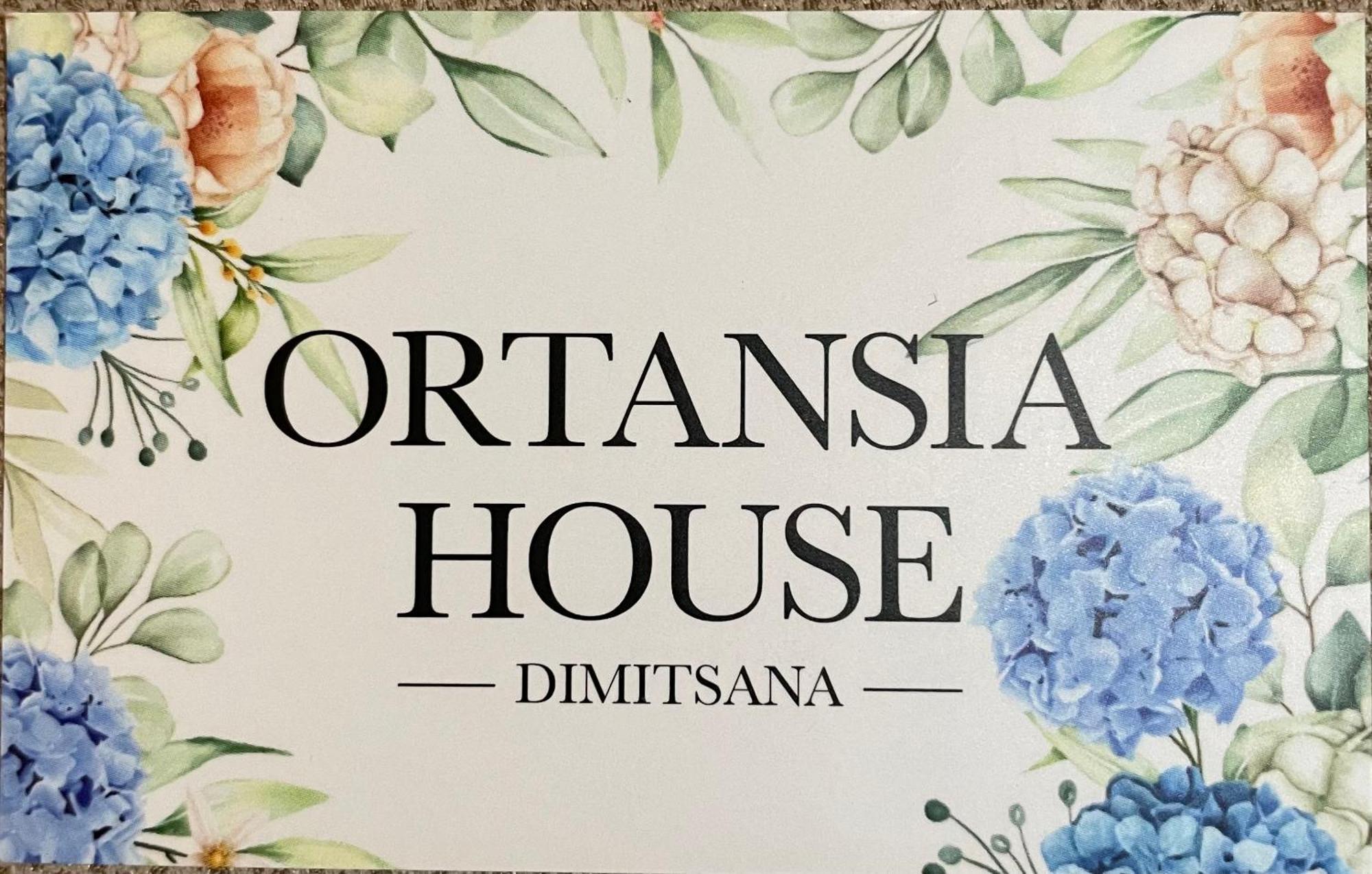 蒂米萨那Ortansia公寓 外观 照片